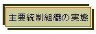vgD̎